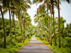 அந்த நாள் ஞாபகம்