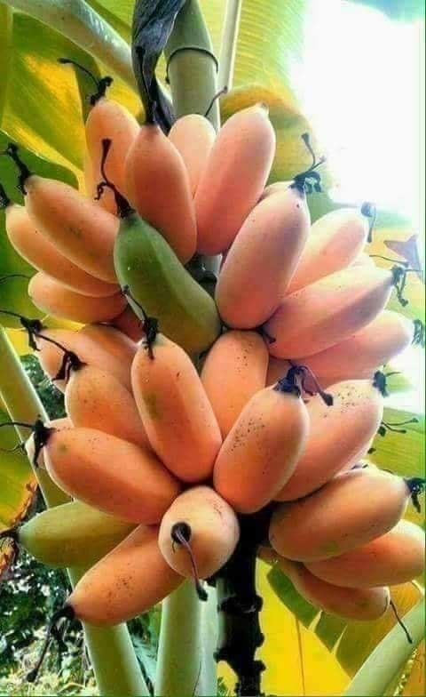 ஏழையின் சிரிப்பில் இறைவனைக் காண்போம்