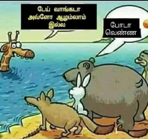 பூனைக்கு விளையாட்டு சுண்டெலிக்கு உயிர் போகுது