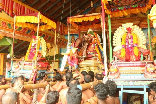 கிளி நொச்சி முரசுமோ ட்டை சேற்று கண்டி அருள்மிகு ஸ்ரீ முத்துமாரியம்மன் ஆலயத்தின் வருடாந்த  தேர் திருவிழா இன்று (05-07-2022)  வெகு சிறப்பாக நடைபெற்றுள்ளது
